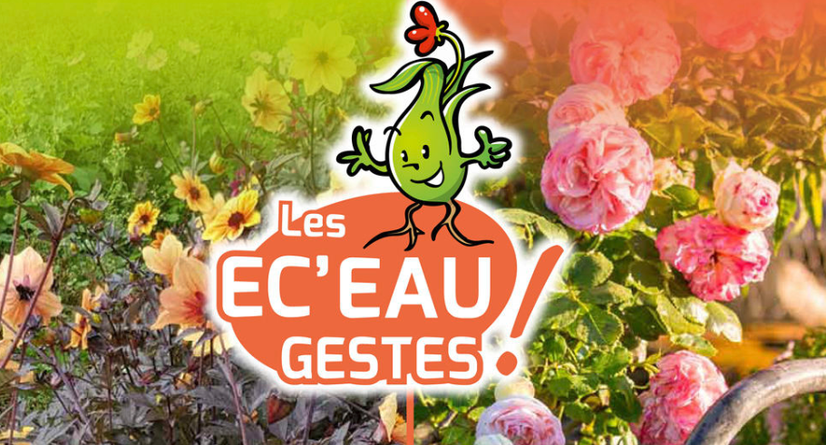  Les EC'EAU gestes, les bonnes pratiques pour économiser l'eau.